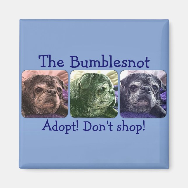 Bumblesnot magnet: Färg Me-Bumblen Magnet (Framsidan)