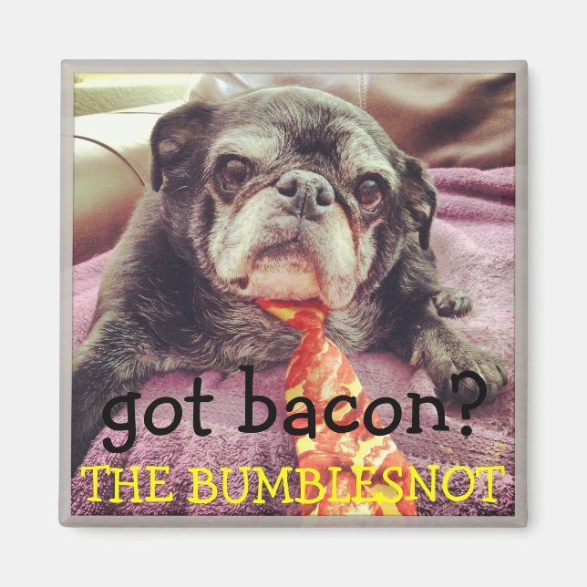 Bumblesnot magnet: har bacon? magnet (Framsidan)