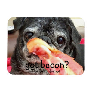 Bumblesnot magnet: harbacon? magnet