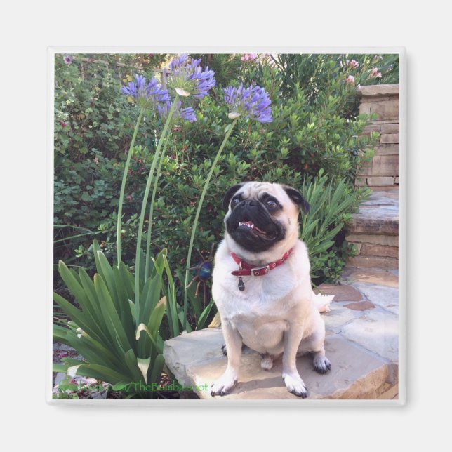 Bumblesnot magnet: Kid utomhus Magnet (Framsidan)