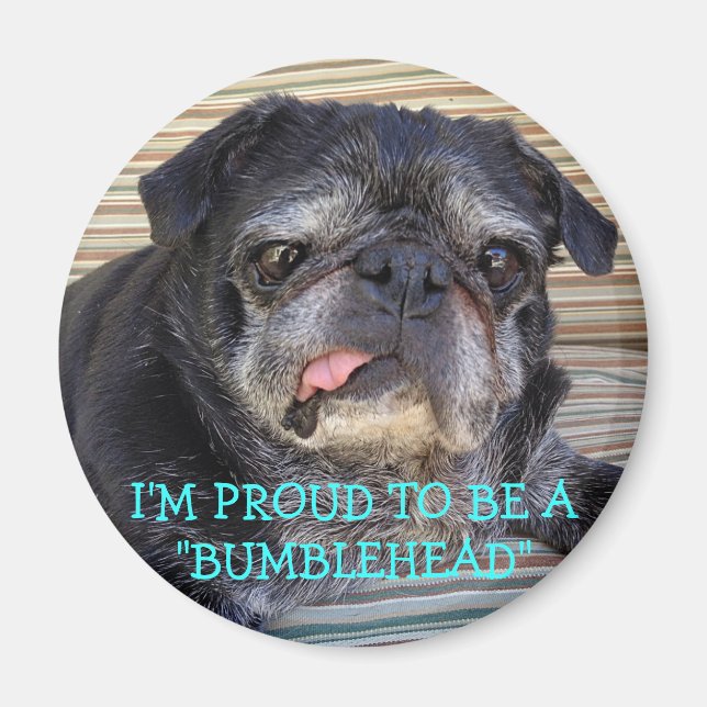 Bumblesnot magnet: Proud att vara Bumblehead Magnet (Framsidan)