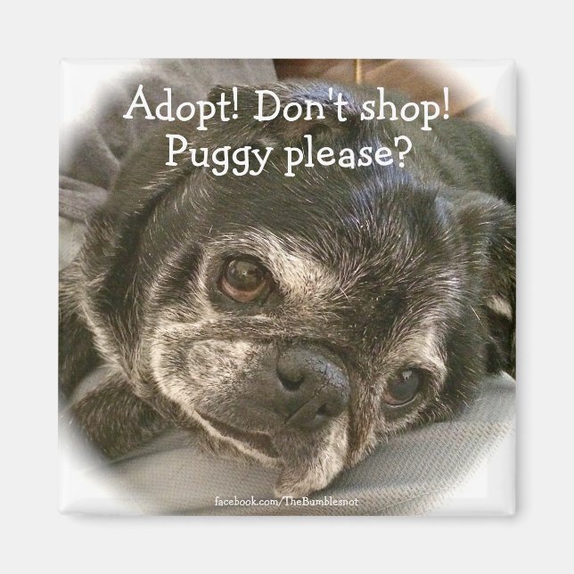 Bumblesnot magnet: Puggy, snälla? Magnet (Framsidan)