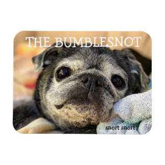 Bumblesnot magnet: sorteringssnort magnet
