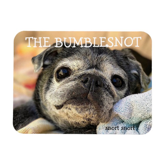 Bumblesnot magnet: sorteringssnort magnet (Horisontell)