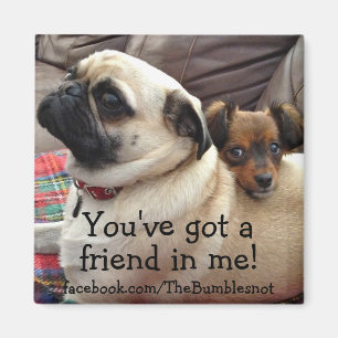 Bumblesnot magnet: You've fick en vän i mig! Magnet