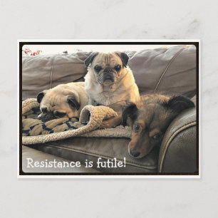 Bumblesnot: Motståndet är Futile-vykort Vykort