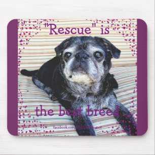Bumblesnot Mousepad: Räddingen är den bäst avel Musmatta