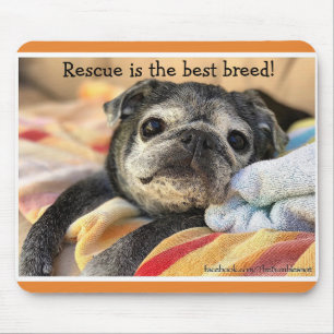Bumblesnot mousepad: Räddingen är den bäst avel Musmatta