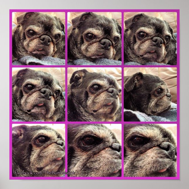 Bumblesnot Poster: Bumblens skuggor Poster (Framsidan)