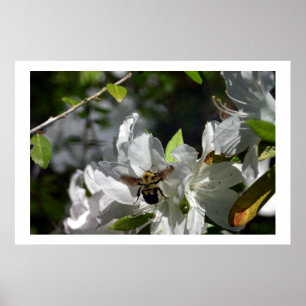 Bumbling-bin Poster