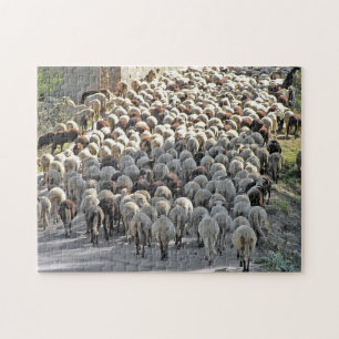 "Bummer", knepig sheeps grund-pussel Pussel
