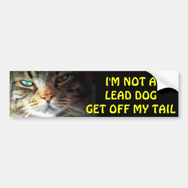 Bumper Cat är inte en ledarhund Bildekal (Framsidan)