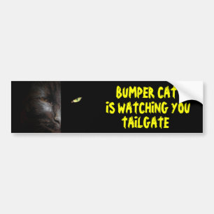 Bumper Cat tittar på dig Tailgate 37 Bildekal