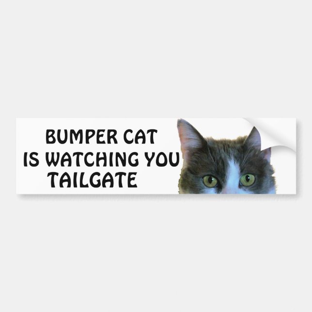 Bumper Cat tittar på Meme TAILGATE 28 Bildekal (Framsidan)