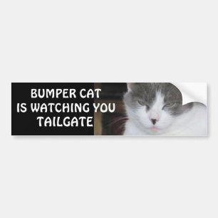 Bumper Cat tittar på TAILGATE 18 Bildekal