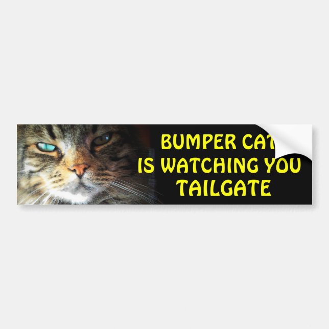 Bumper Cat tittar på TAILGATE 2.5 Bildekal (Framsidan)