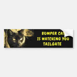 Bumper Cat tittar på TAILGATE 44 Bildekal