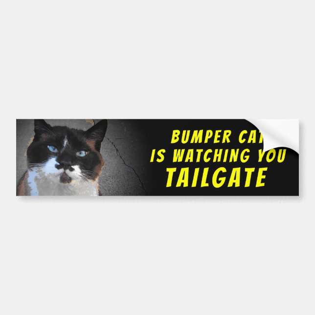 Bumper Cat tittar på TAILGATE 46 Bildekal (Framsidan)