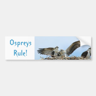 Bumper-etikett för Ospreys-regel Bildekal