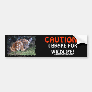 Bumper-fästen för PET- och WILDLIFE-Hjort Bildekal