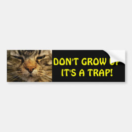 Bumper-katt Grow inte-minne Bildekal
