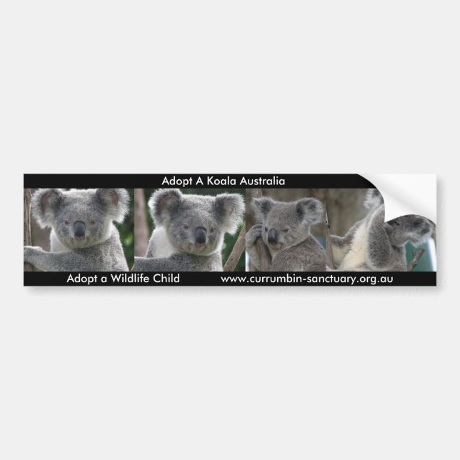 Bumper Sticker Adopt A Koala Australia Bildekal (Framsidan)