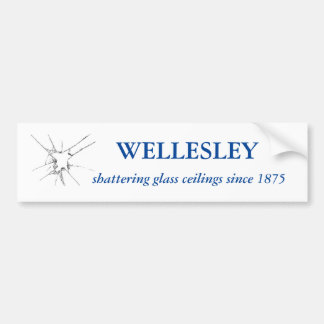 Bumper Sticker Bildekal