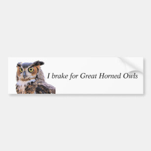 Bumper Sticker Broke for Underbar Horned Uggla Bildekal