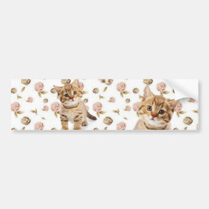 Bumper Sticker Cat Kittens Meow Bildekal