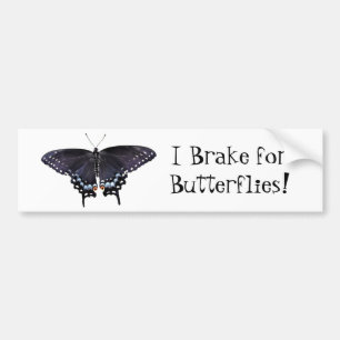 Bumper Sticker I Broke for Butterflies Swallowtail Bildekal