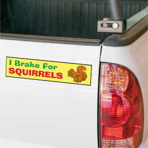 Bumper Sticker - Jag bromsar för ekorrar Bildekal
