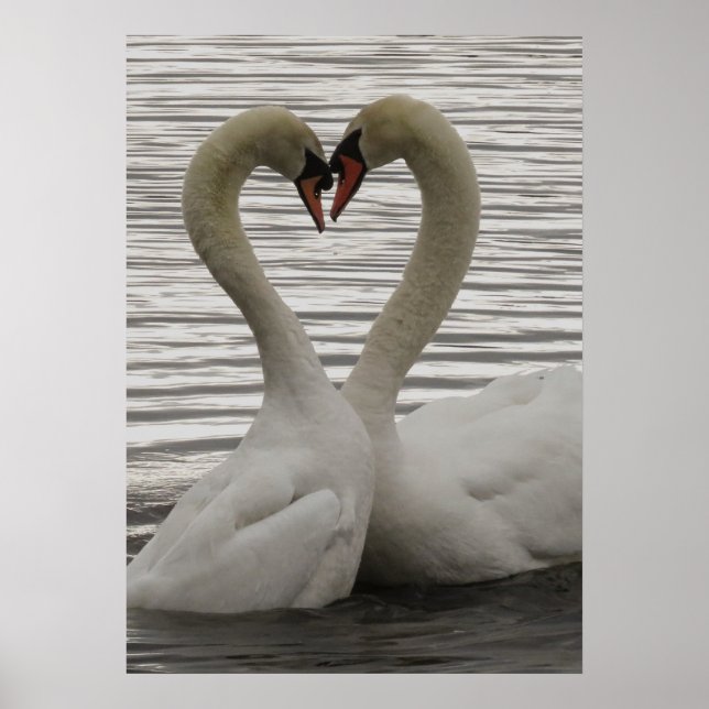 Bumping Heads Poster (Framsidan)