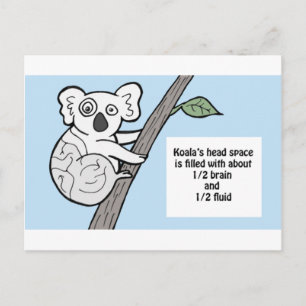Bumpy Brains Koala Vykort