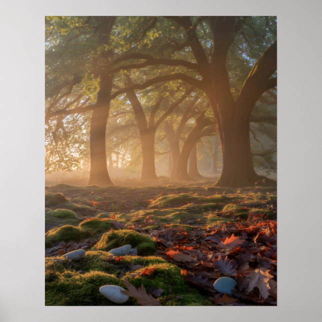 Bumpy Path Poster (Framsidan)