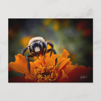 Bunble Bee Vykort