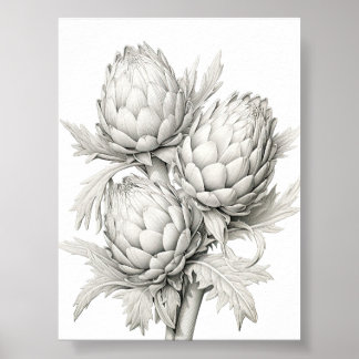 BUNCH OF ARTICHOKES POSTER