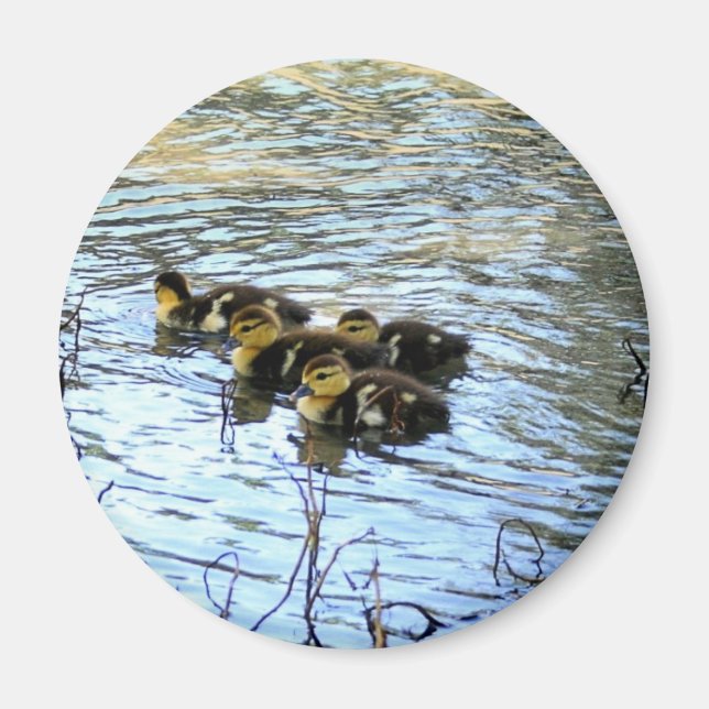 Bunch of Baby Anka Magnet (Framsidan)