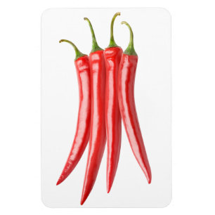 Bunch of chili peppers magnet