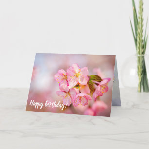 Bunch of Fresh Rosa Sakura Flowers on Rosa Kort