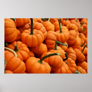 BUNCH OF PUMPKIN POSTER
