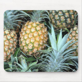 Bunch of Tropical Hawaiian Pineapples Musmatta