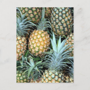 Bunch of Tropical Hawaiian Pineapples Vykort