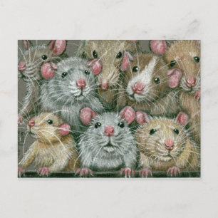Bunch Råttor på Rattie Reunion Postcard Vykort