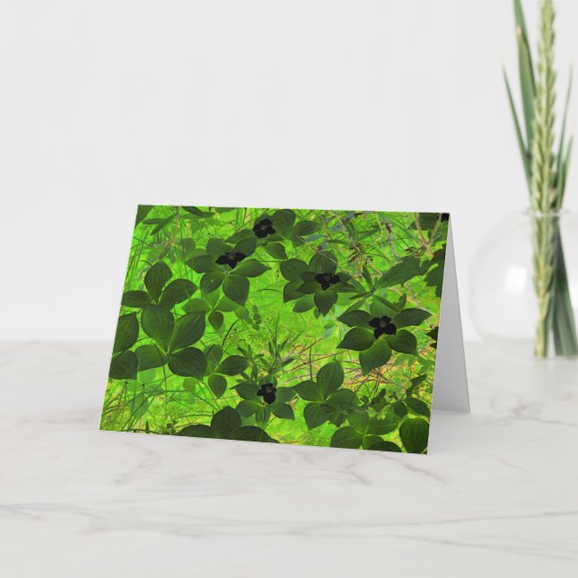 "Bunchbär" Digitalt Edited Photo Grönts Plants Kort (Framsida)