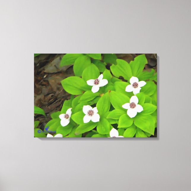 Bunchberry Canvastryck (Framsida)