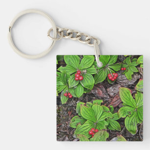 Bunchberry med berries