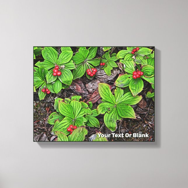 Bunchberry med berries canvastryck (Framsida)