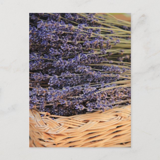 Bunches of Lavendel Vykort (Framsida)