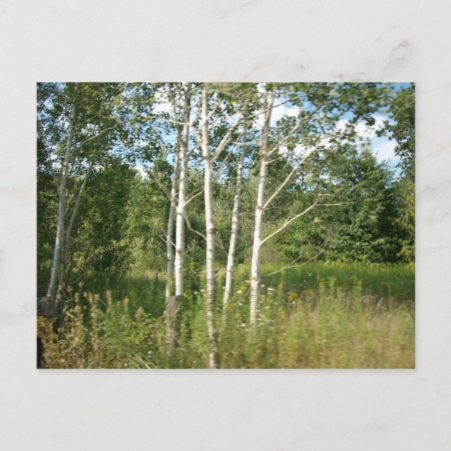 Bundet vykort (Framsida)