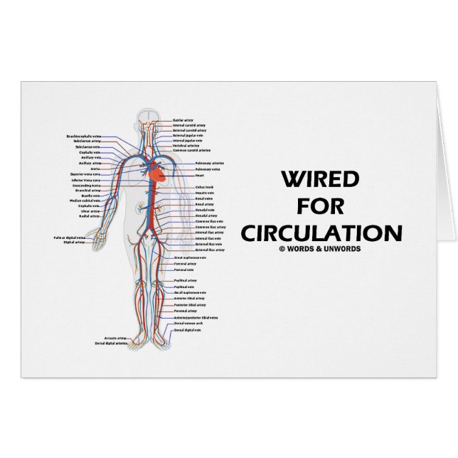 Bundit för cirkulation (det cirkulations- hälsningskort (Framsidan Horizontal)